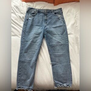 American Eagle Mom Jean